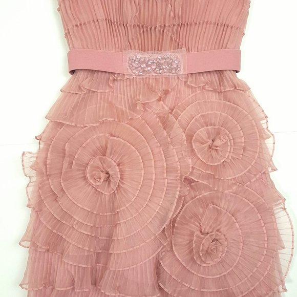 Silk BCBG Pink Dress - Silk Rosette Dress - Picture 6 of 6